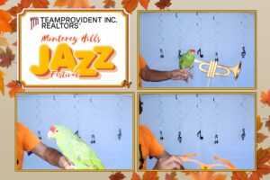 Teamprovident Real Estate Company in San Marino, California