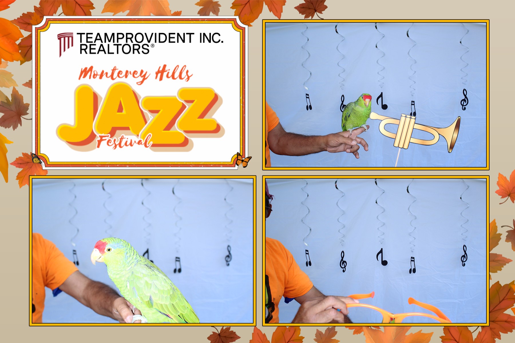 Teamprovident Real Estate Company in the community