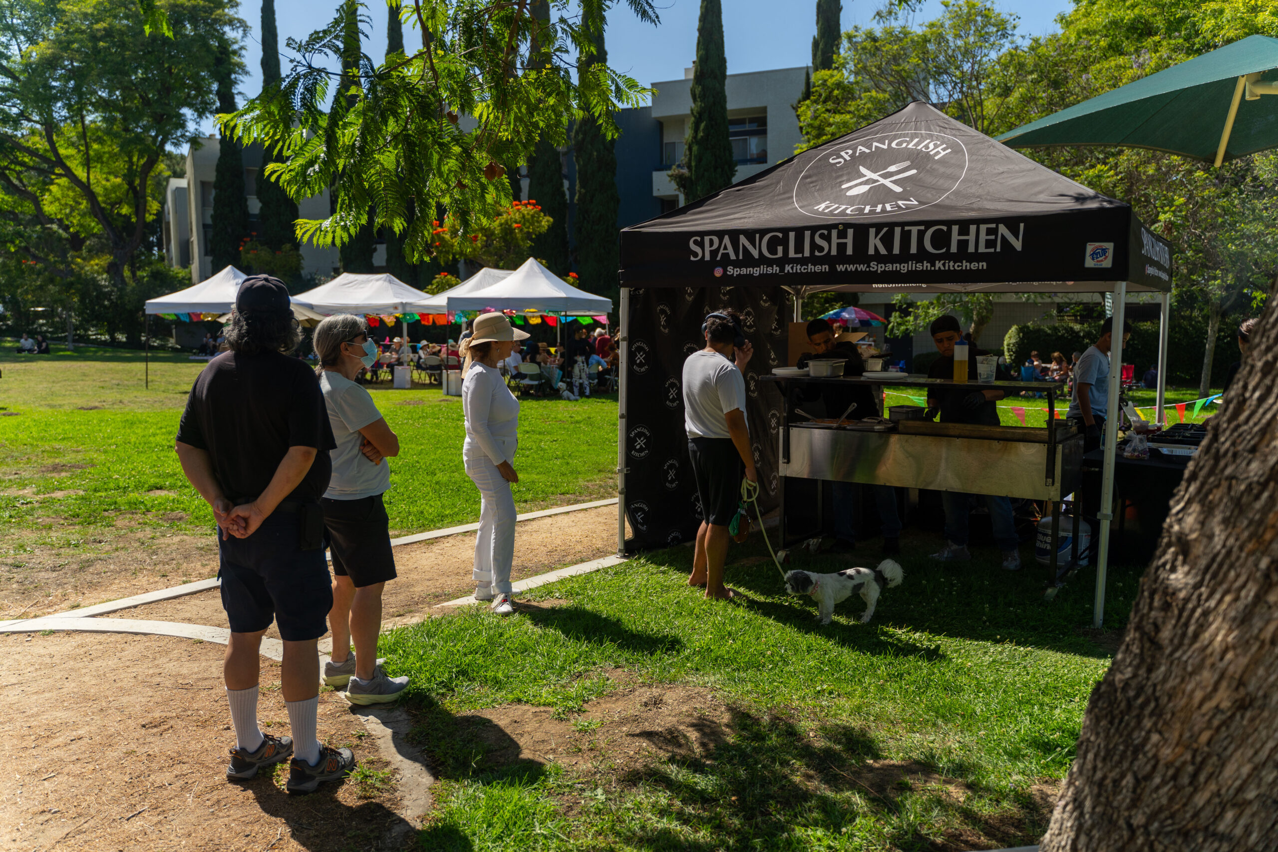 Teamprovident Real Estate Company in the community