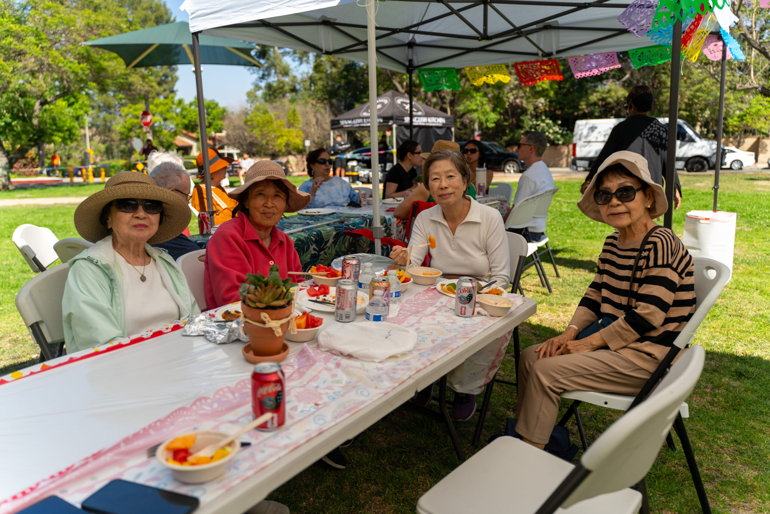 Teamprovident Real Estate Company in the community