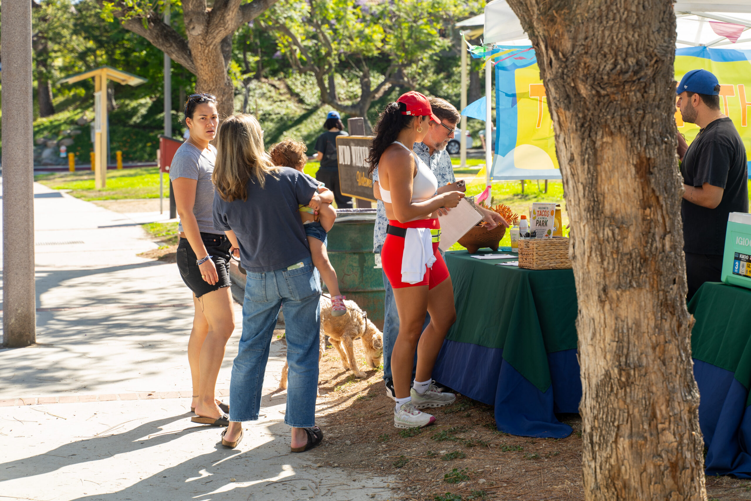 Teamprovident Real Estate Company in the community