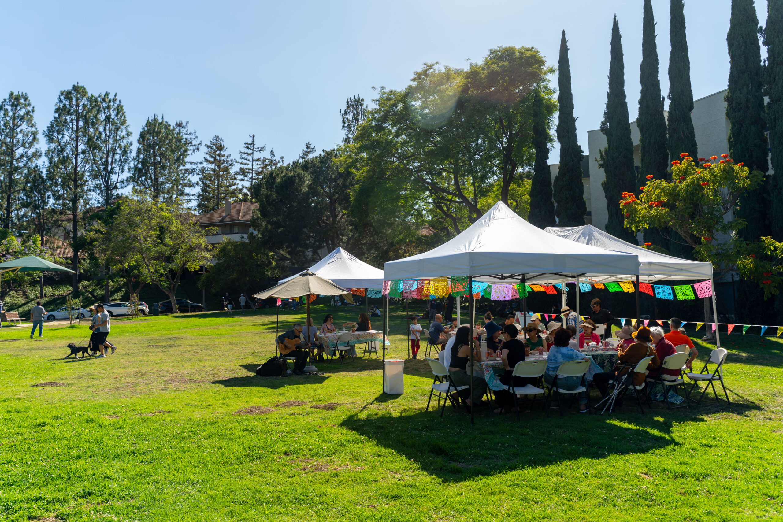 Teamprovident Real Estate Company in the community