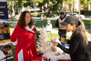 Teamprovident Real Estate Company in San Marino, California