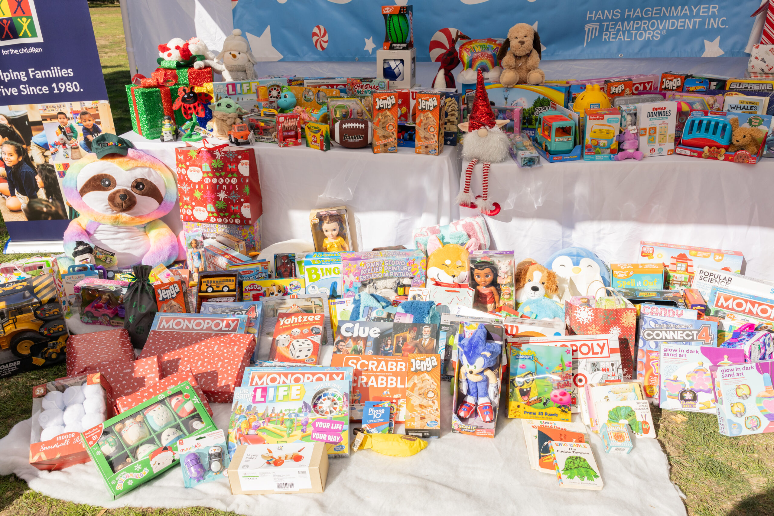 Teamprovident Real Estate Company in the community