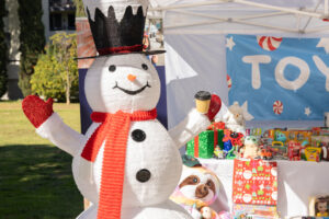 Teamprovident Real Estate Company in San Marino, California