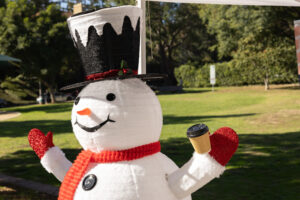 Teamprovident Real Estate Company in San Marino, California