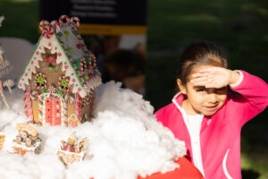 Teamprovident Real Estate Company in San Marino, California