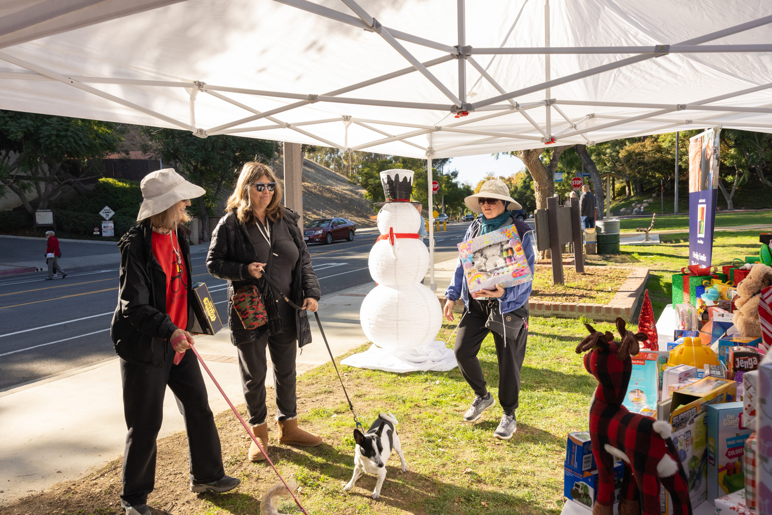 Teamprovident Real Estate Company in the community