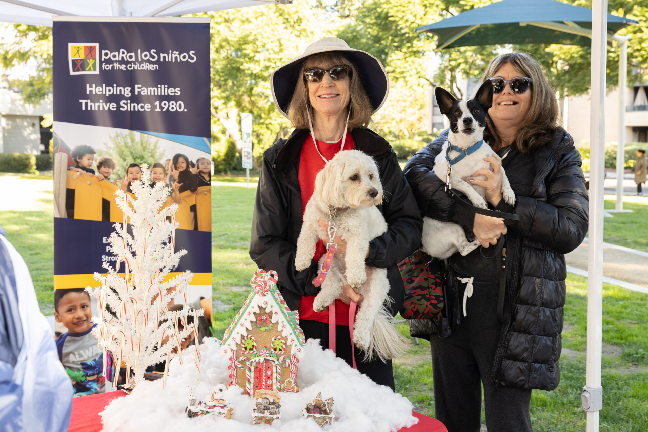 Teamprovident Real Estate Company in the community