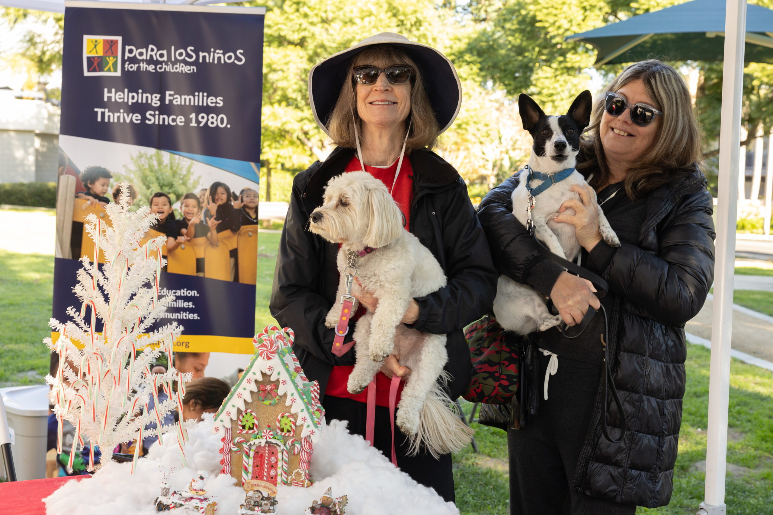 Teamprovident Real Estate Company in the community