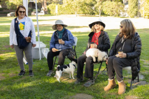 Teamprovident Real Estate Company in San Marino, California