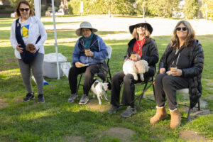 Teamprovident Real Estate Company in San Marino, California