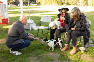 Teamprovident Real Estate Company in San Marino, California