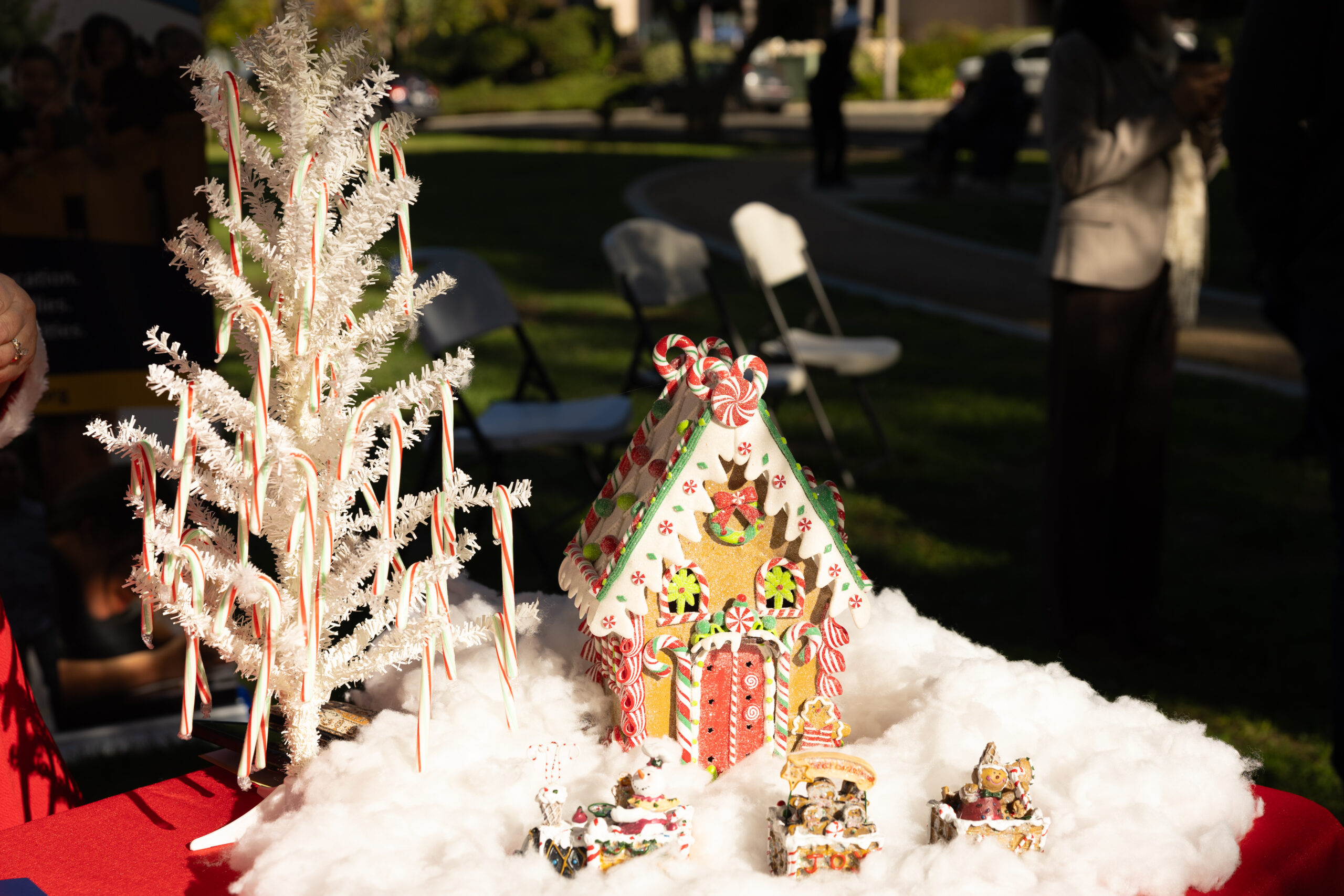 Teamprovident Real Estate Company in the community