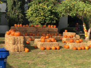 Teamprovident Real Estate Company in San Marino, California