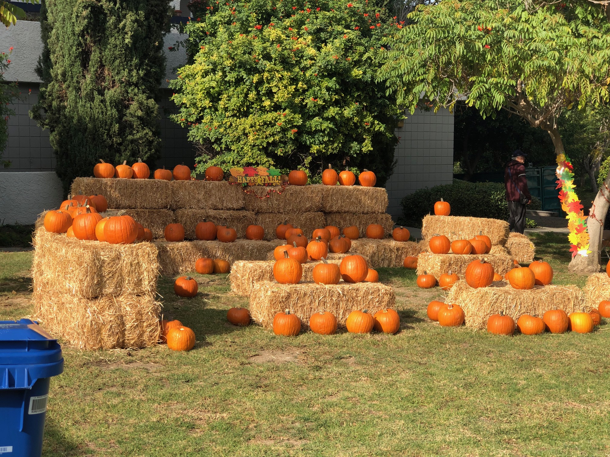 Teamprovident Real Estate Company in the community