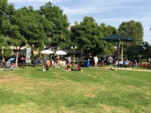 Teamprovident Real Estate Company in San Marino, California