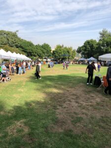 Teamprovident Real Estate Company in San Marino, California