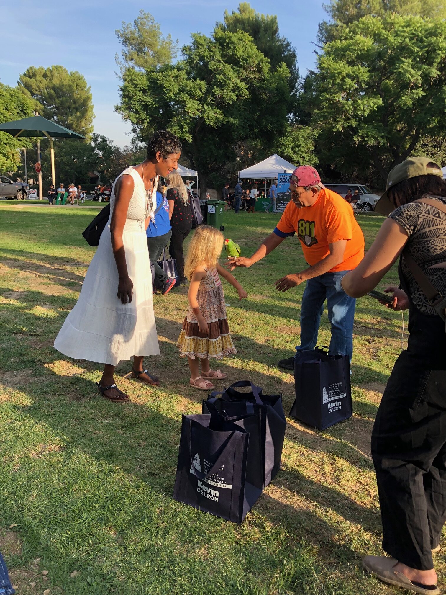 Teamprovident Real Estate Company in the community