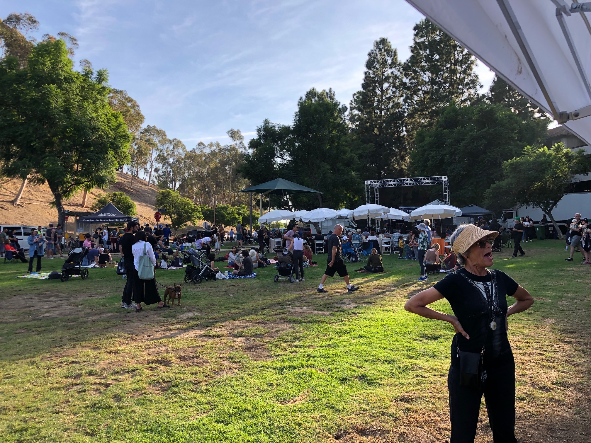 Teamprovident Real Estate Company in the community