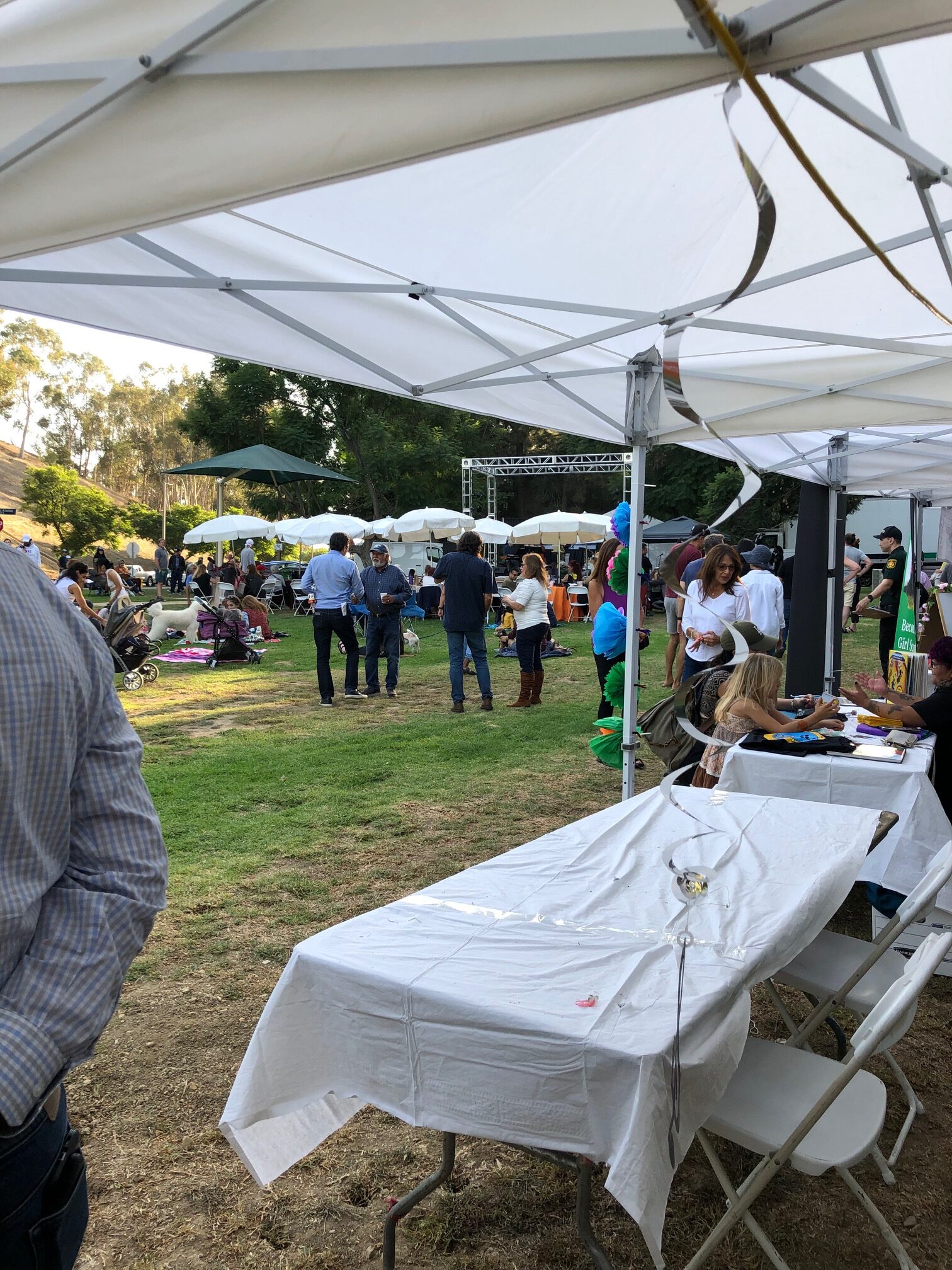 Teamprovident Real Estate Company in the community