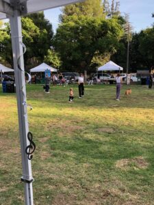 Teamprovident Real Estate Company in San Marino, California