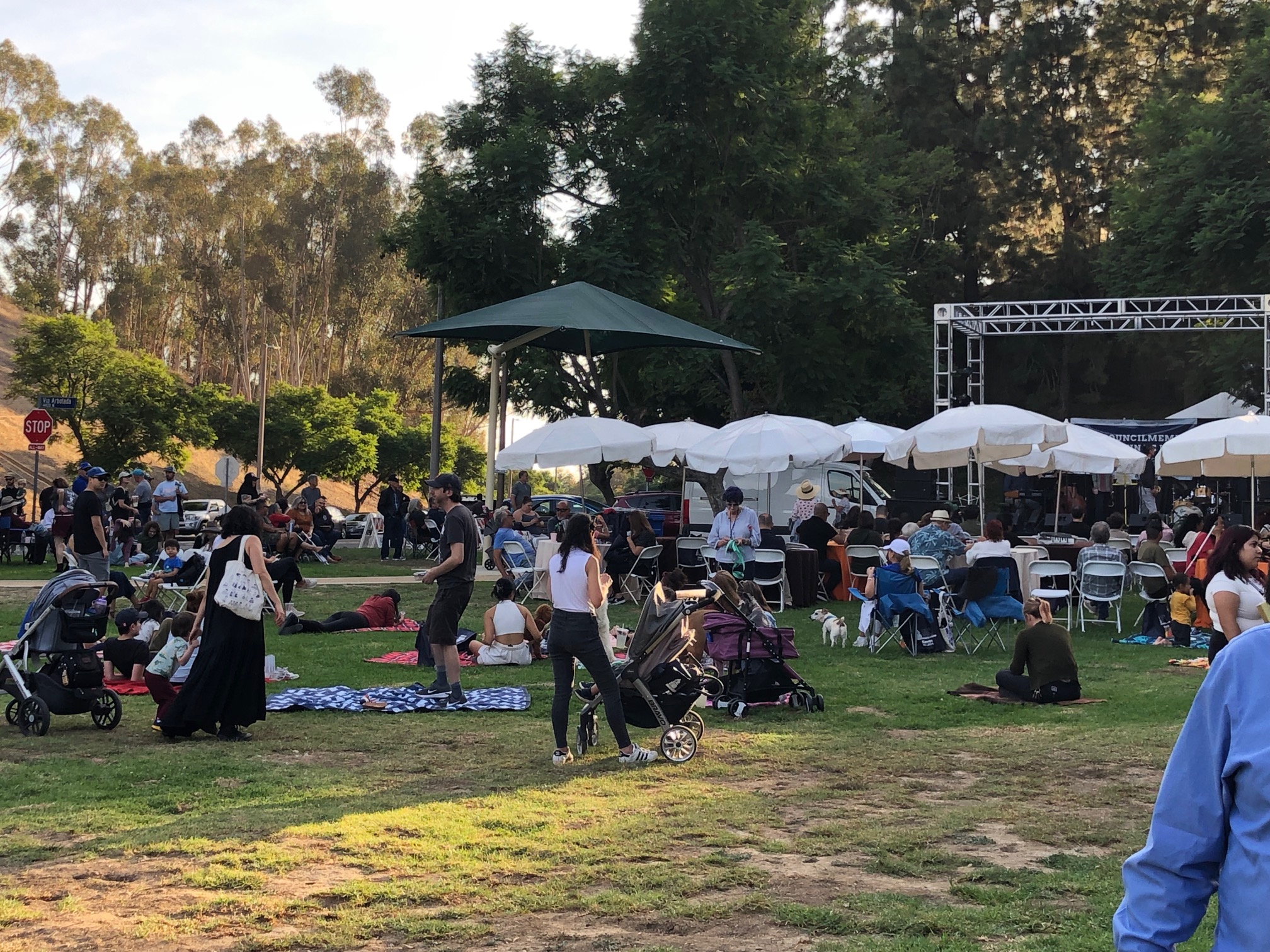 Teamprovident Real Estate Company in the community