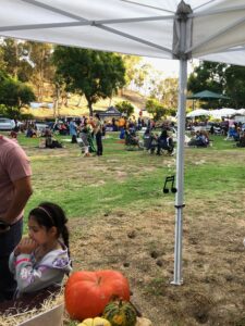 Teamprovident Real Estate Company in San Marino, California