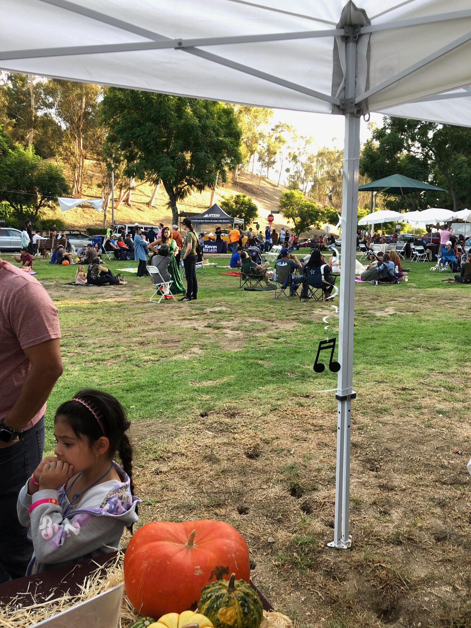 Teamprovident Real Estate Company in the community