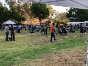 Teamprovident Real Estate Company in San Marino, California