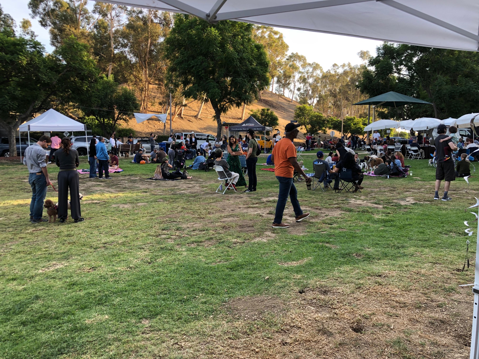 Teamprovident Real Estate Company in the community