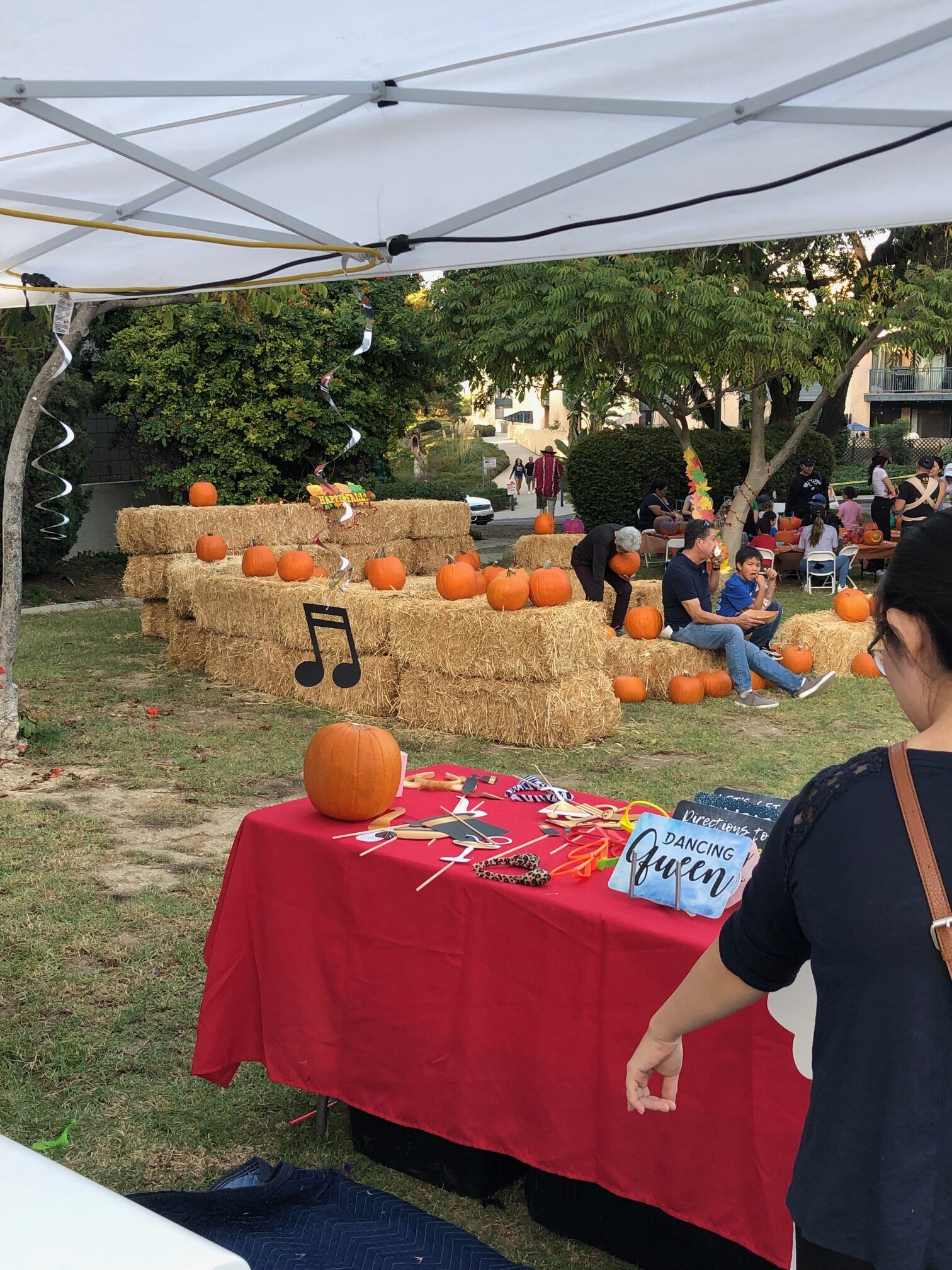 Teamprovident Real Estate Company in the community