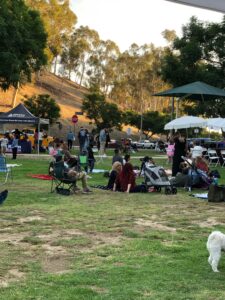 Teamprovident Real Estate Company in San Marino, California