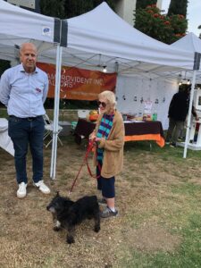 Teamprovident Real Estate Company in San Marino, California