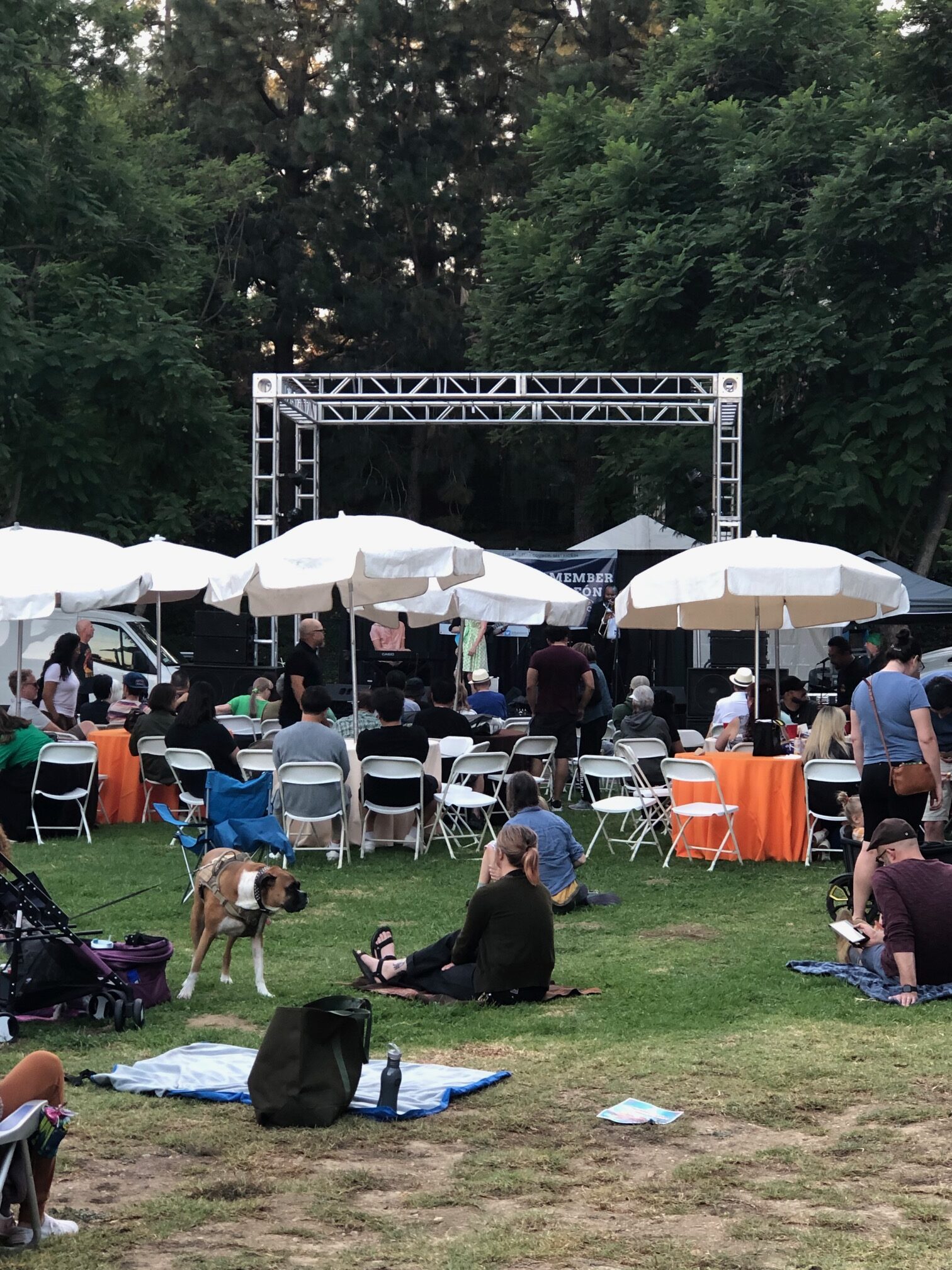 Teamprovident Real Estate Company in the community