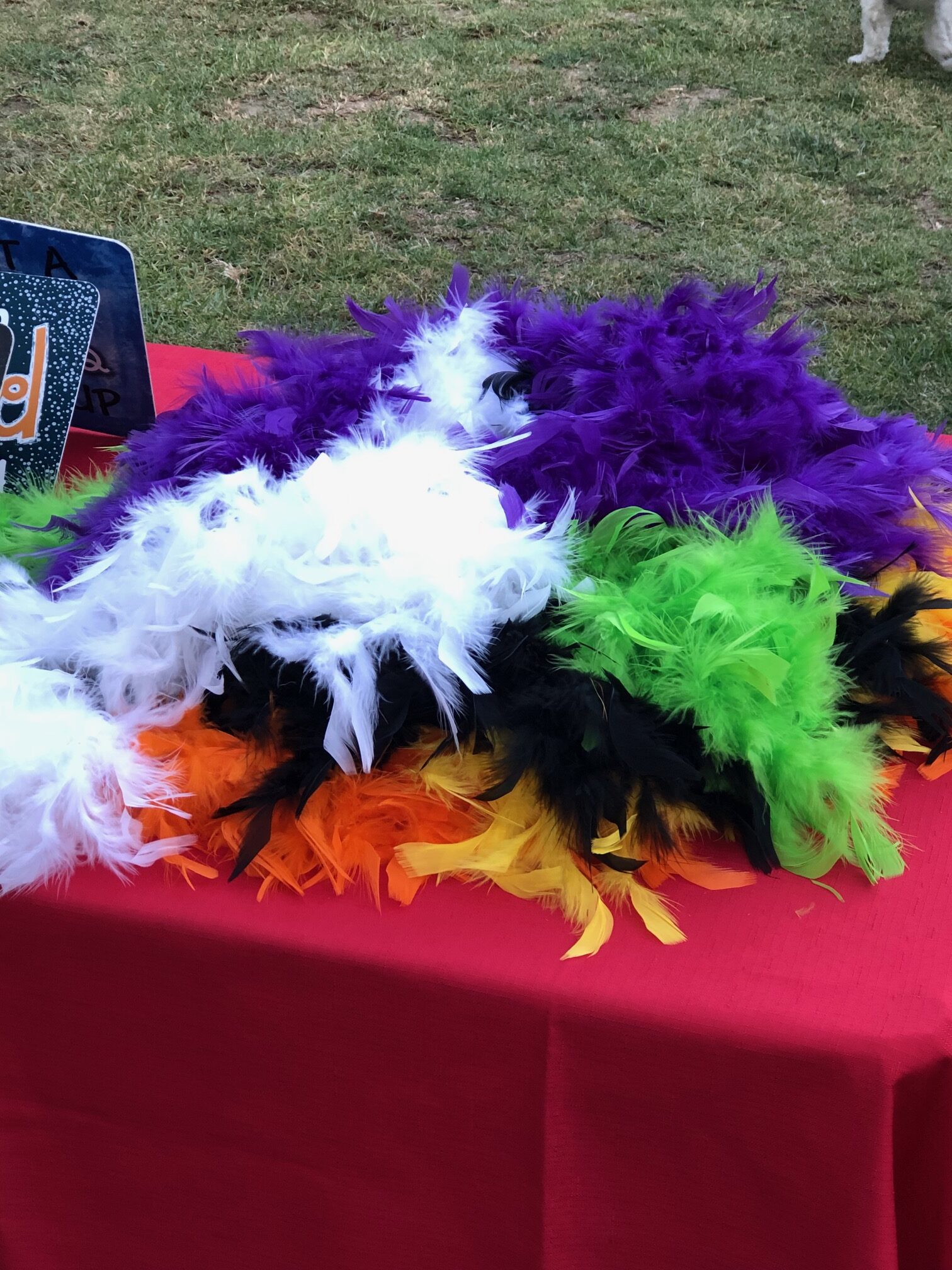 Teamprovident Real Estate Company in the community