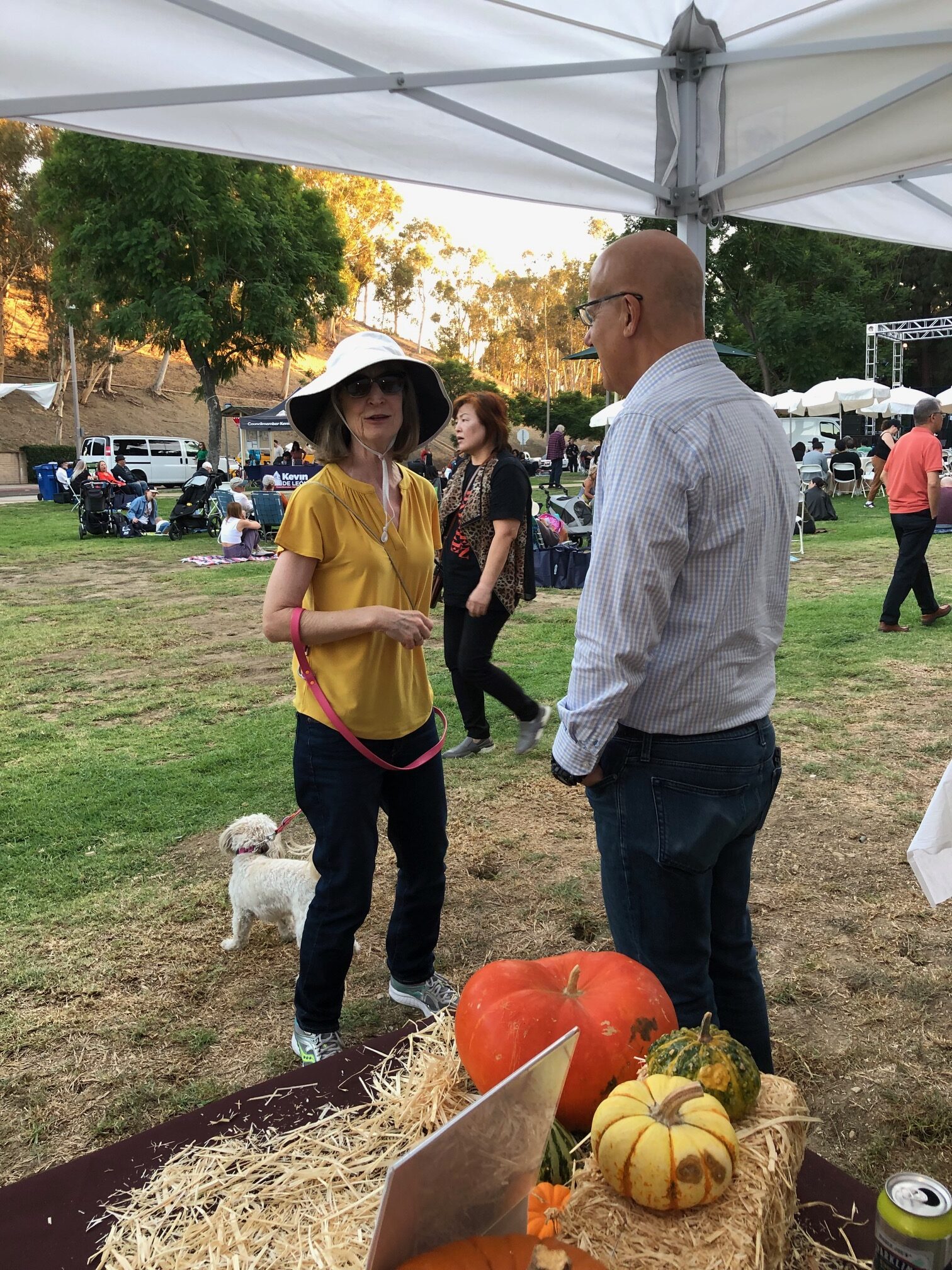 Teamprovident Real Estate Company in the community