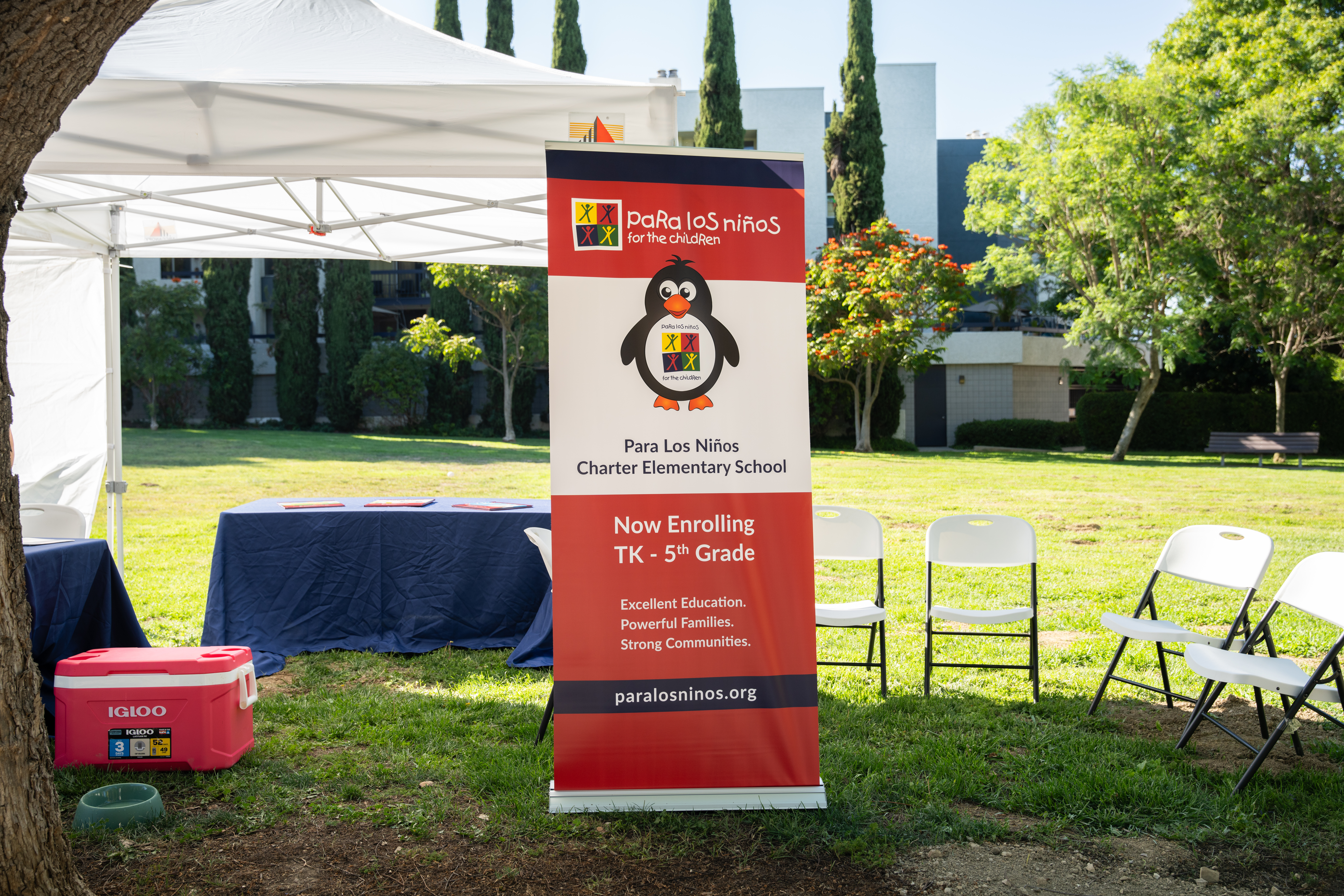 Teamprovident Real Estate Company in the community