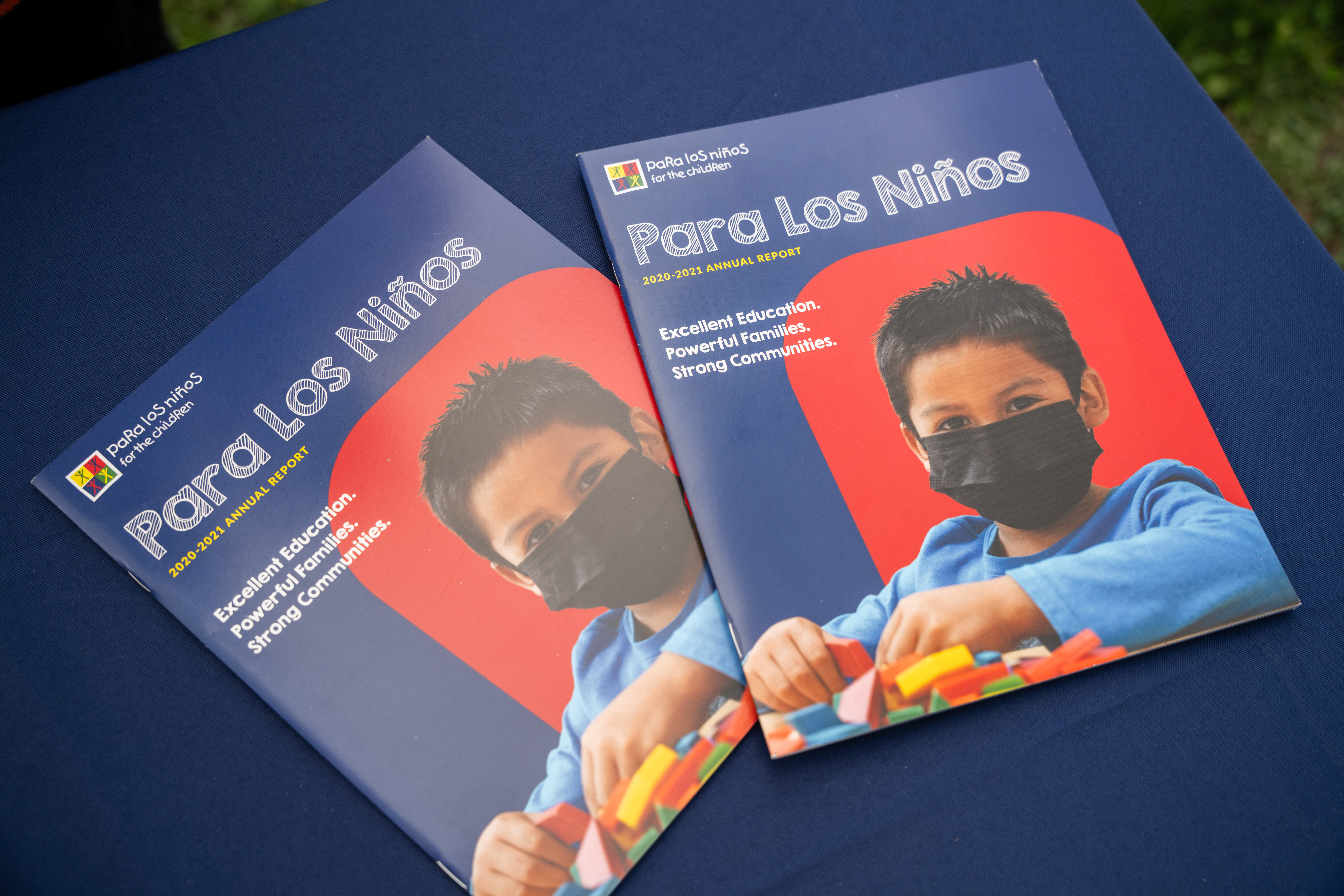 Teamprovident Real Estate Company in the community