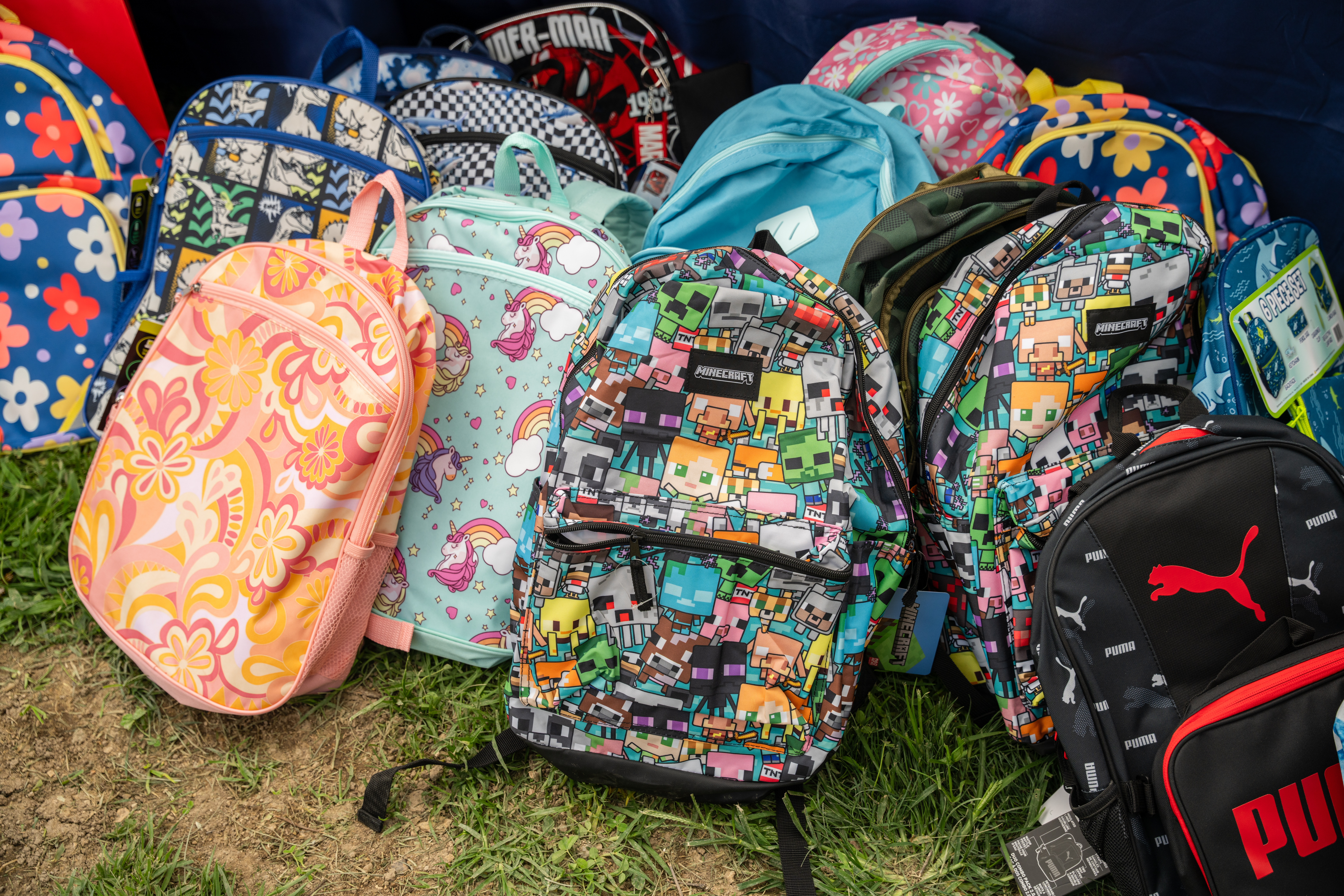 Teamprovident Real Estate Company in the community