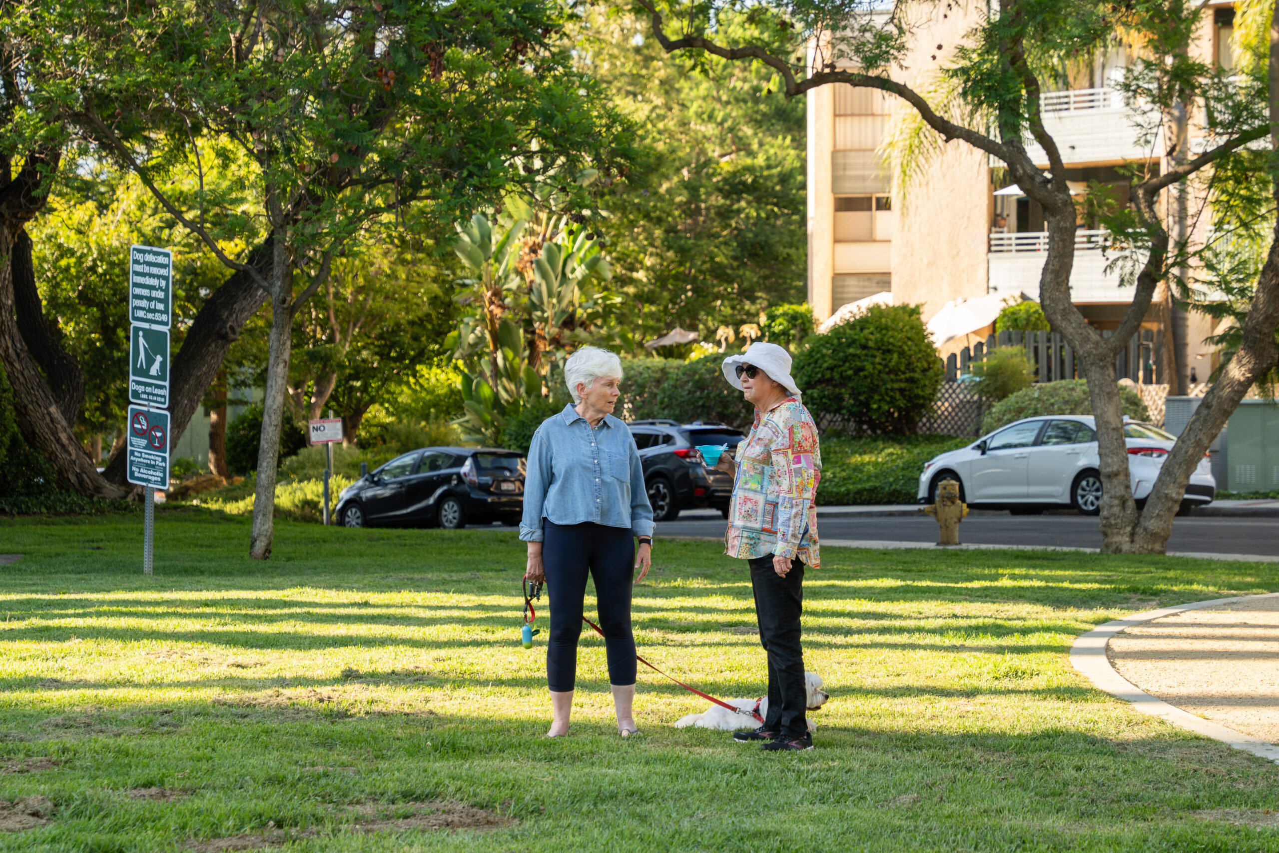 Teamprovident Real Estate Company in the community