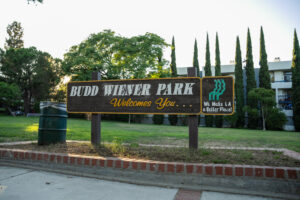 Teamprovident Real Estate Company in San Marino, California